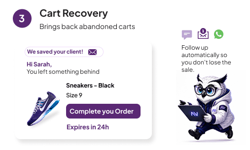 Cart Recovery AI Capability