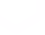 Section Icon